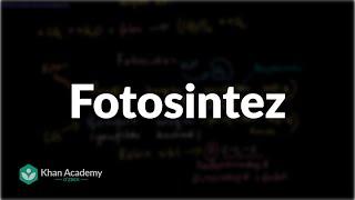 Fotosintez | Fotosintez | Biologiya