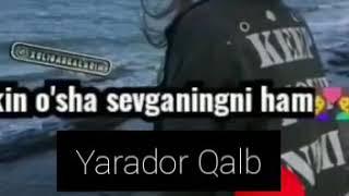 Yarador Qalb