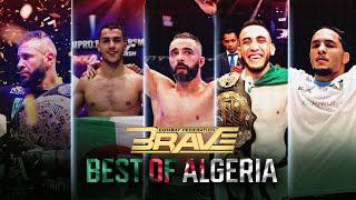 MMA Algeria | Best of Algerian Fighters in the BRAVE CF Cage | BRAVE CF FREE MMA Fights
