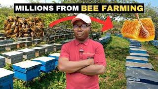 He is Turning His Backyard into a Bee  Farm in Nigeria 