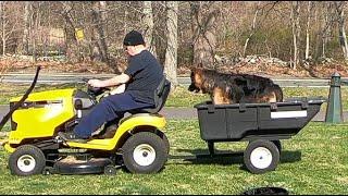 German Shepherd Likes to Ride in Mower Cart