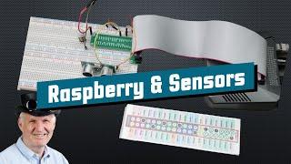 #369 Definitive Guide to Attaching Sensors to the Raspberry Pi (Tutorial)