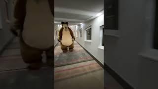 bear chases person down hall (original)