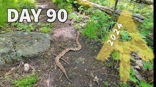 We are Swimming in Snakes! - Day 90 - Appalachian Trail