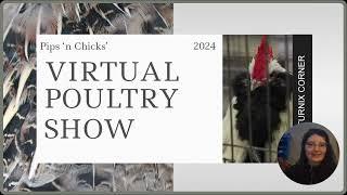 Pips n Chicks 2024 Virtual Poultry Show