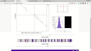 Bioinformatics - Dotlet - sequence alignment