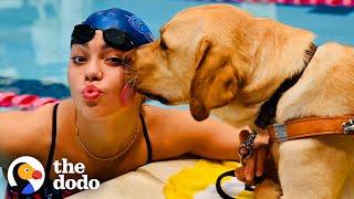 Anastasia Pagonis’ Loyal Guide Dog Sits Next To Swimming Pool During Practice | The Dodo Teammates