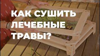 Сушка трав. Как сушить? / Захар Травник