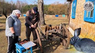 ПОГРУЖЕНИЕ В МИР ПЧЁЛ И НЕ ТОЛЬКО, КАК МЫ ПРОВЕЛИ ДЕНЬ НА ХУТОРЕ В ЛЕСУ