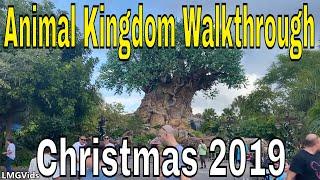 [HD] Animal Kingdom park Walkthrough 2019: Christmas time @ Walt Disney World | Walking Tour