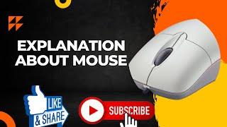 Explanation About Mouse | What is Mouse | Full Explanation of Mouse