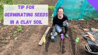 How To Direct Sow Seeds Into The Ground - Germinating Seeds In Clay Soil