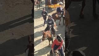 Qashqadaryo polvonlari #kupkari #shorts #horse