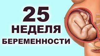 Что происходит с мамой и ребенком на 25 неделе беременности? 6 месяц беременности. Второй триместр.