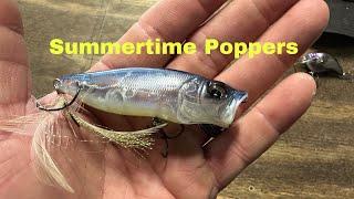 How And When To Fish A Topwater Popper In July…