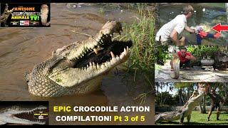 OZZY CROCODILE MAN - CROCODILE Attack COMPILATION! Top 10 CROCDILES  CROC VS Croc Dude YOUTUBE 3of 5