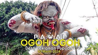 Pawai Ogoh Ogoh Desa Pekraman Pupuan Tahun 2024 || Cover Mocha Band