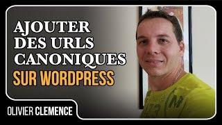 Ajouter des urls canoniques sur Wordpress