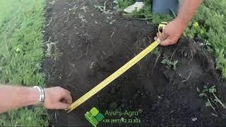 Стрип тил (Strip-till) испытание секции Green Master