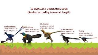 10 Smallest Dinosaurs Ever Discovered (Avian Dinosaurs)