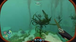 Subnautica Where to Find Salt (Quick Tips)