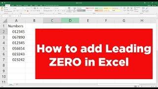 ADDING ZERO BEFORE A NUMBER IN MICROSOFT EXCEL | Excel Tutorial | How To