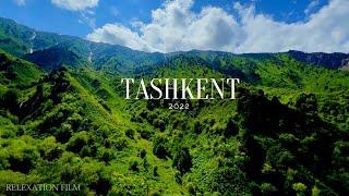 Uzbekistan TASHKENT (4K UHD) - Relaxing Music Along With Beautiful Nature Videos - 4K Video HD