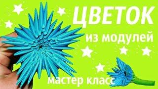 Голубой Цветок Из Модулей Своими руками | Модульное оригами | Мастер Класс