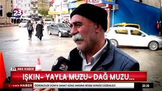 IŞKIN- YAYLA MUZU- DAĞ MUZU…