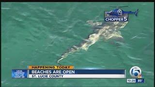 All St. Lucie County beaches open Tuesday after closures for sharks