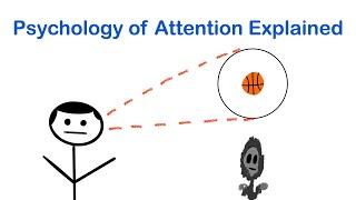 Psychology of Attention Explained | Selective Attention, Inattentional Blindness, & Change Blindness