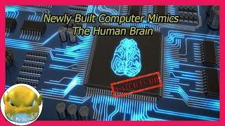 [HD] Newly-Built Computer Mimics The Human Brain | TECH