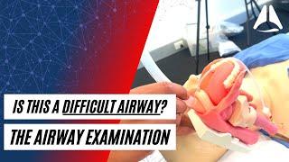 Is this a difficult airway? The Airway Examination Fundamentals | ABCS of Anaesthesia Foundations