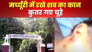 Hamidia Hospital Bhopal : मर्चुरी में रखे शव के कान कुतर गए चूहे | देखिए Video