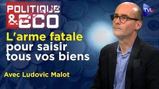 Dépossession planétaire : urgence d'une monnaie Or et Argent - Poleco N°435 avec Ludovic Malot