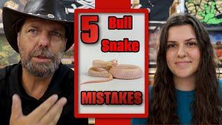 Top 4 Mistakes Bull Snake Keepers Make