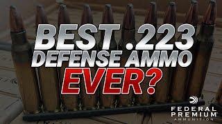 Best .223 Defense Ammo Ever? Federal 5.56mm 62gr FBIT3 Gel Test