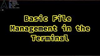 Basic File Management- Create, Copy, Move and Remove from the terminal