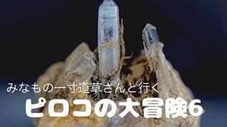 [鉱物採集2023]　ピロコの大冒険6　みなもの一寸道草さんと行く　鉱物採集編