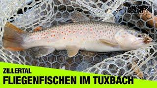 Fliegenfischen im Zillertal | Angeln in Österreich | Bachforellen im Tuxbach | ABENTEUER FISCHWASSER