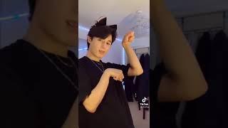 Maid/Cat Boy TikTok Compilation