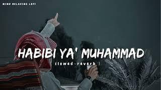 Habibi Ya Muhammad (slowed reverb) Beautiful Nasheed Naat  l Lofi Version l Mind Relaxing Naat