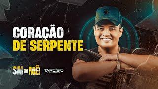 CORAÇÃO DE SERPENTE - Tarcísio do Acordeon (CD Sai do Mêi)