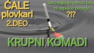 KRUPNI KOMADI NA PLOVAK × NAJEFIKASNIJI NAČIN ZA USPEŠNO PECANJE BELE RIBE..#floatfishing