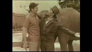 GREATEST SHOW ON EARTH - Jack Palance, Harry Guardino