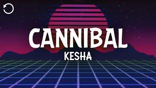 Kesha - Cannibal (Lyrics)