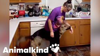 How a dog’s natural instincts save a woman from danger | Humankind #goodnews