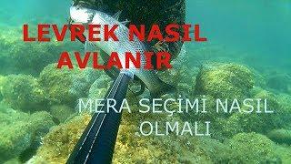 LEVREK NASIL AVLANIR (ANLATIMLI VİDEO)