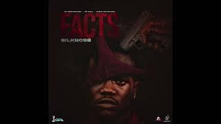 Silk Boss - Facts (Official Audio)