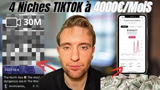 Les Meilleurs Niches TikTok en 2024 (BETA Programme)